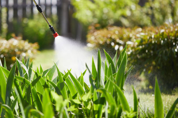 24/7 Emergency Wasp Removal experts in Wyandotte, MI