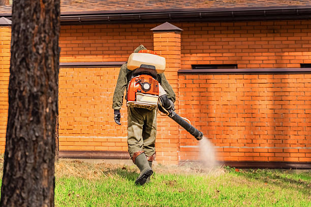Top rated local Wasp Removal specialists in Wyandotte, MI
